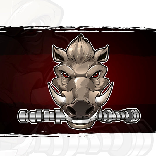 Texas Speed and Performance Warthog Camshaft for '09+ 5.7L Hemi - 219/232 .611/.582 110 LSA 110 ICL
